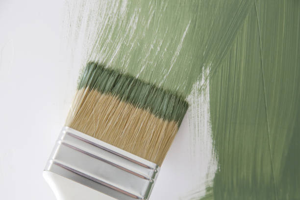 Best Black Mold Removal  in Aurora, IL