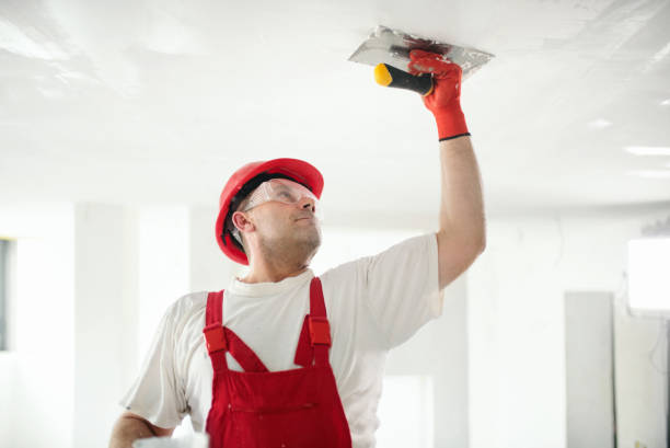 Best Comprehensive Air Testing for Mold Contaminants  in Aurora, IL