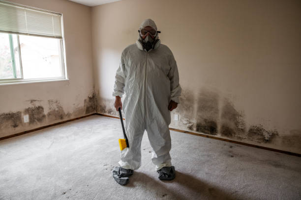 Best Crawl Space Mold Remediation  in Aurora, IL