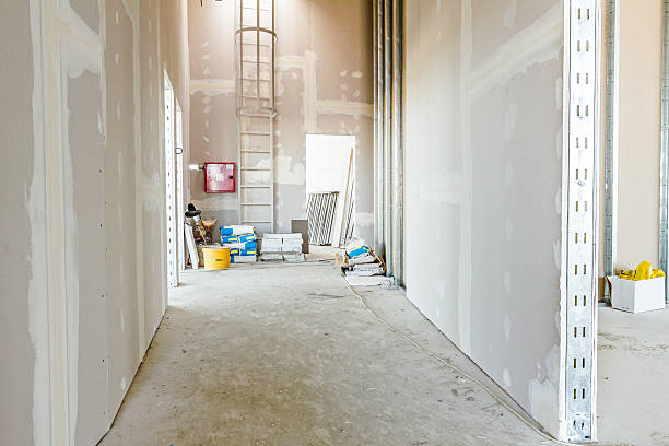 Best Mold Prevention Services  in Aurora, IL