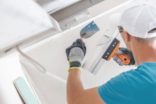 Best Asbestos and Lead Testing During Mold Inspection  in Aurora, IL